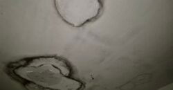 pack de de dos chalets adosados para reformar