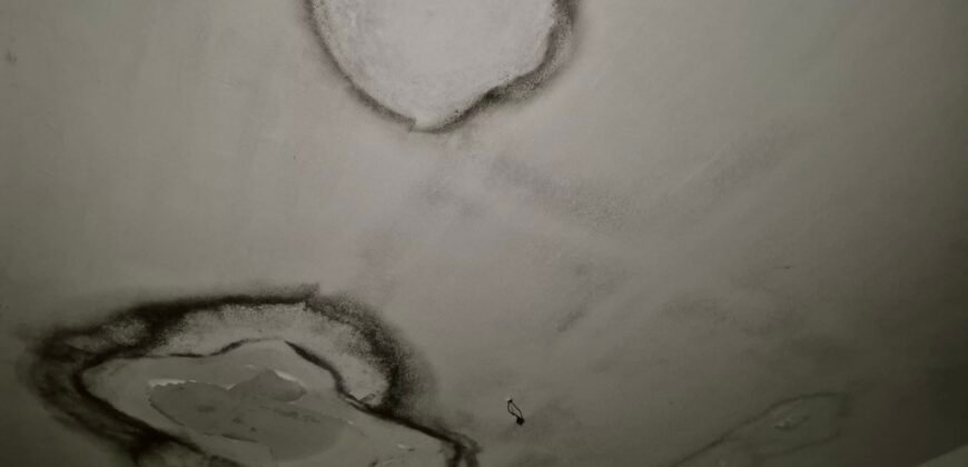 pack de de dos chalets adosados para reformar