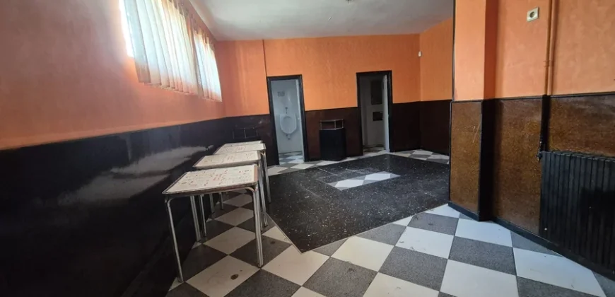 Pack de dos viviendas, bar, tres terrenos, garaje y merendero.