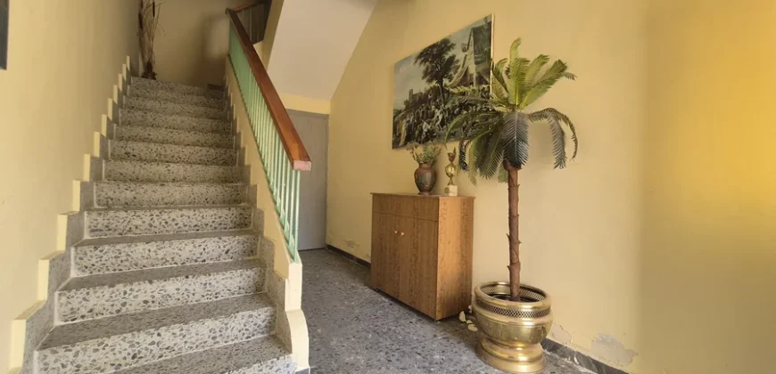 Pack de dos viviendas, bar, tres terrenos, garaje y merendero.