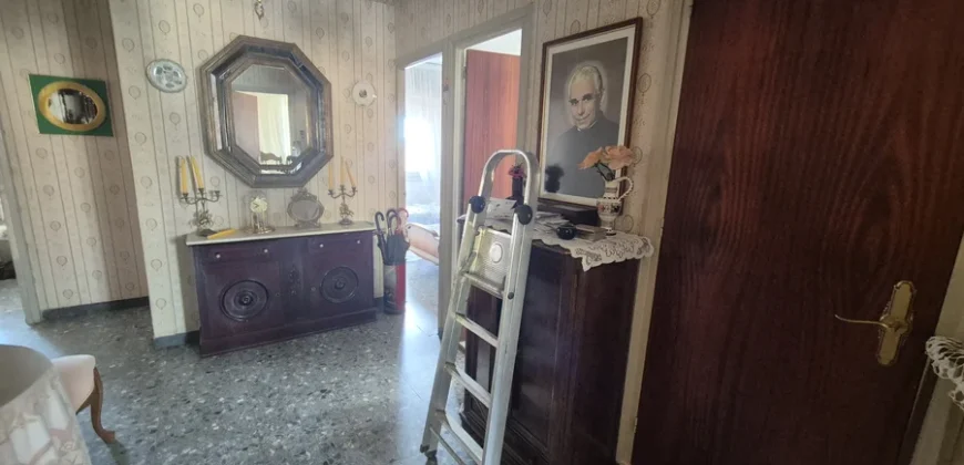 Pack de dos viviendas, bar, tres terrenos, garaje y merendero.