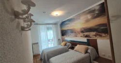 Pack de dos viviendas, bar, tres terrenos, garaje y merendero.