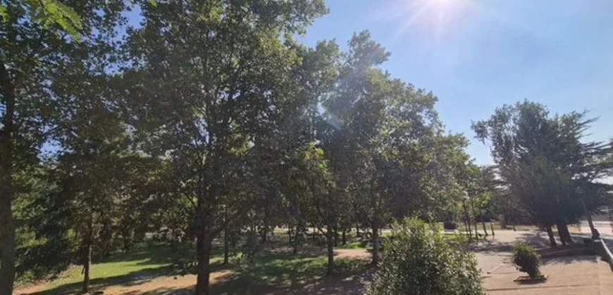 Piso de una habitación en Carrión de los Condes