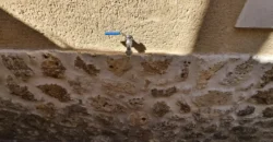 Casa en venta en Ampudia (Palencia) Casa en venta en Ampudia (Palencia)