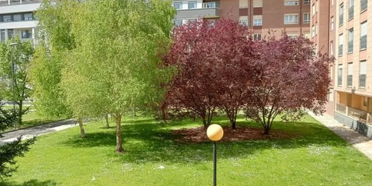 Apartamento con garaje y trastero