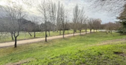 Piso de tres habitaciones en pleno centro