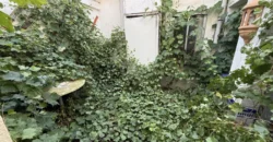 Casa independiente en pleno centro de la ciudad