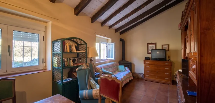 Casa independiente con patio en Capillas.
