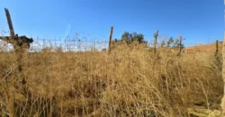 Casa de pueblo en Villafrechos