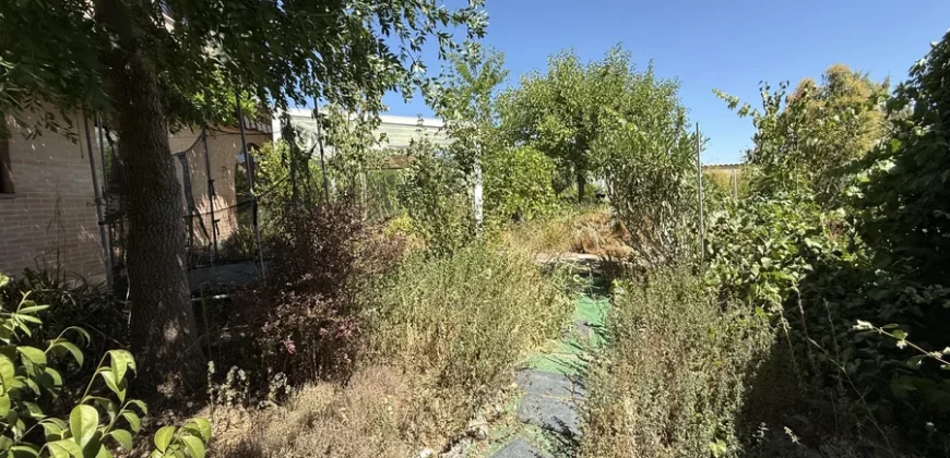 Casa en venta en Frechilla con piscina, jardín y garaje