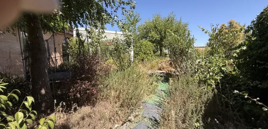 Casa en venta en Frechilla con piscina, jardín y garaje