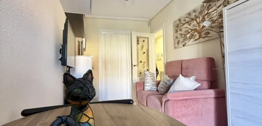 Apartamento en Plaza Mayor de Palencia